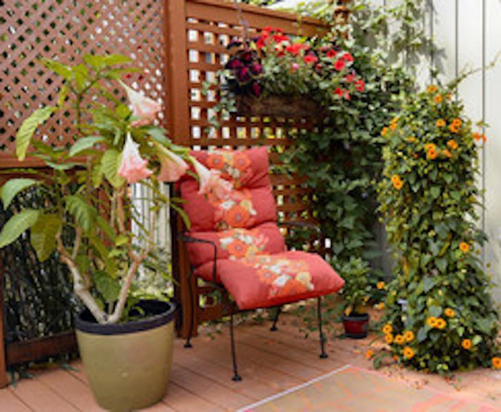 فورت إيري Yellow Door Bed And Breakfast المظهر الخارجي الصورة